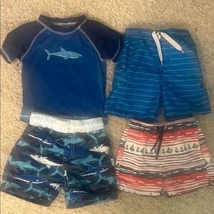 Toddler Boys Bathing Suit Bundle 3T